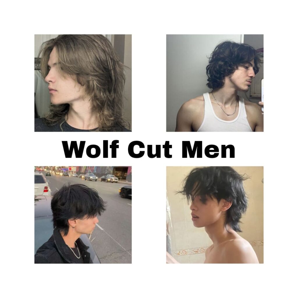 Men's wolf cut hairstyles
