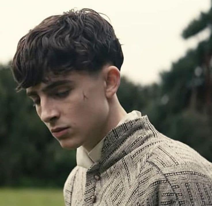 Timothée chalamet french crop