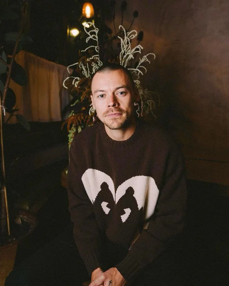 Harry Styles Buzz Cut