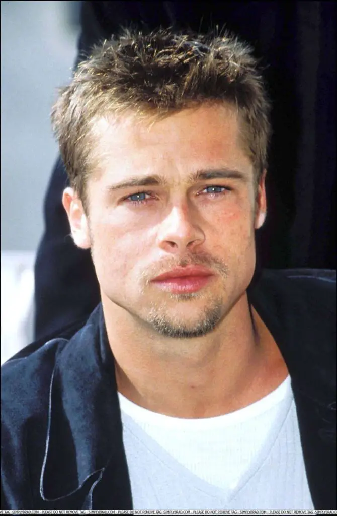 Brad Pitt french crop