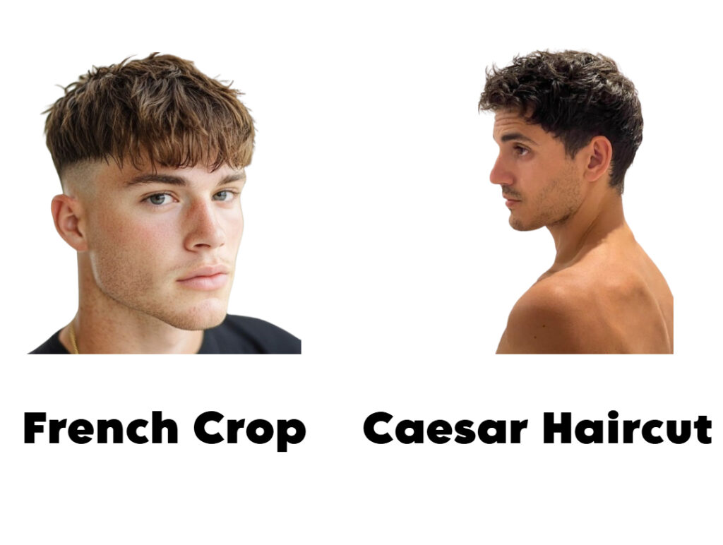 French-Crop-VS-Caesar