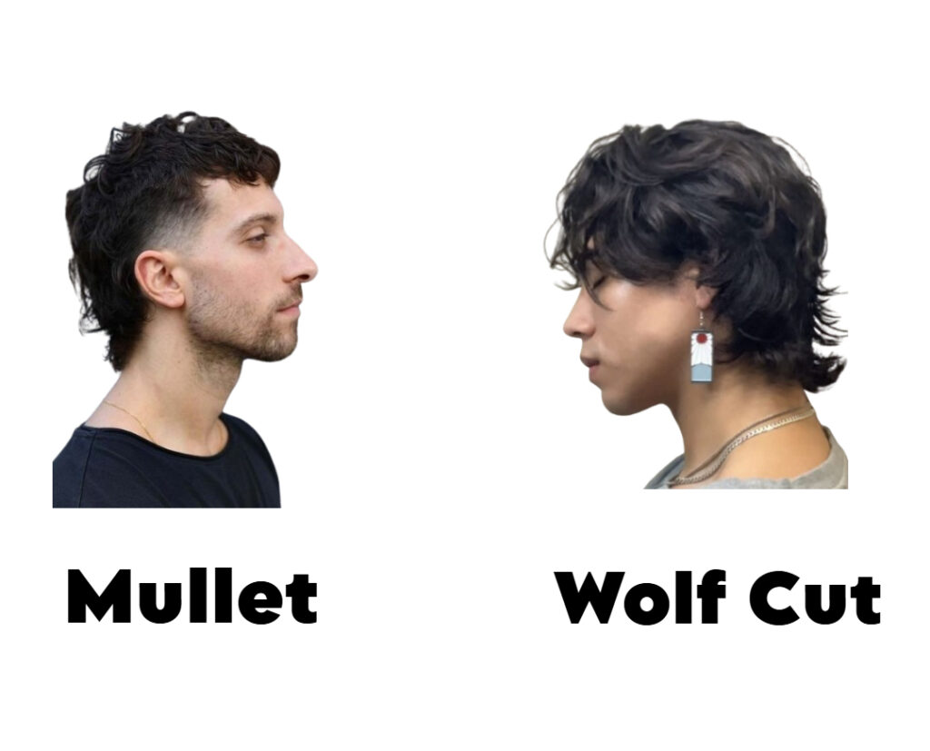 Mullet Haircut VS Wolf Cut men